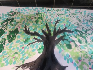 Here come the magnolias!